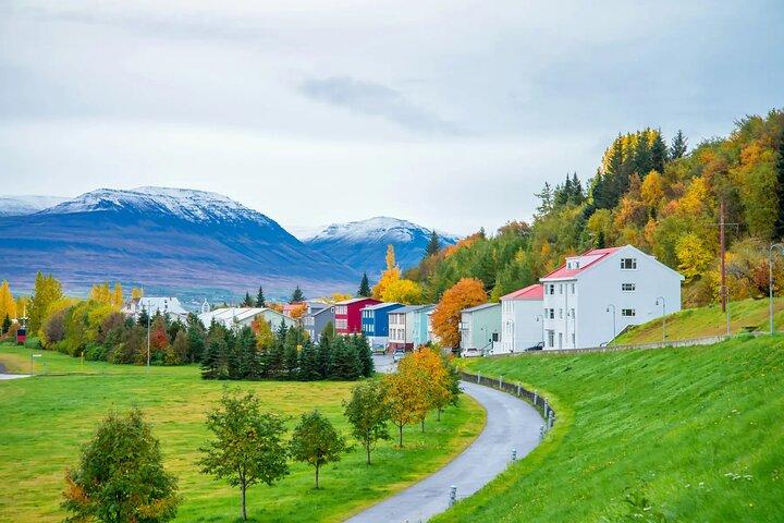 Akureyri hamn: Tur till Godafoss och Laufas Turf House i liten grupp