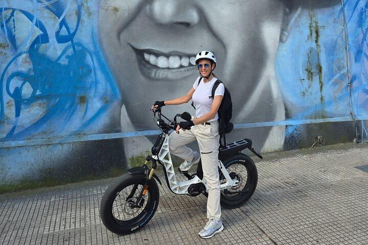 厳選されたブエノスアイレス電動自転車ツアー：宮殿、公園、そして隠れた名所を巡る