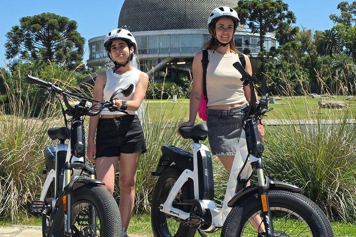 厳選されたブエノスアイレス電動自転車ツアー：宮殿、公園、そして隠れた名所を巡る