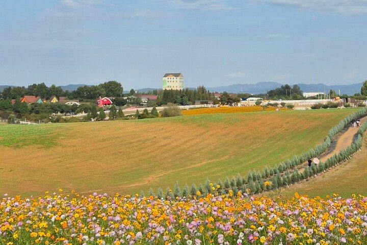 [Privé] Anseong Farmland Flower Festival & Golden Buddha Temple