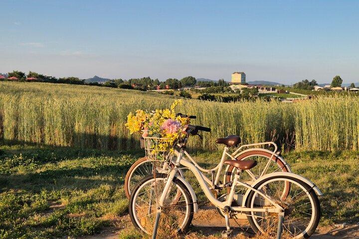 [Privé] Anseong Farmland Flower Festival & Golden Buddha Temple