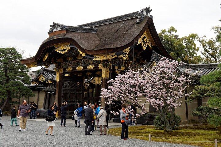 Tour guidato a piedi del Palazzo Imperiale di Kyoto e del Castello Nijo - 3 ore