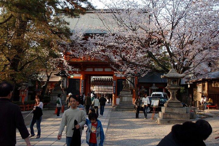 京都祇園ナイトウォーク＆芸者地区ガイドツアー