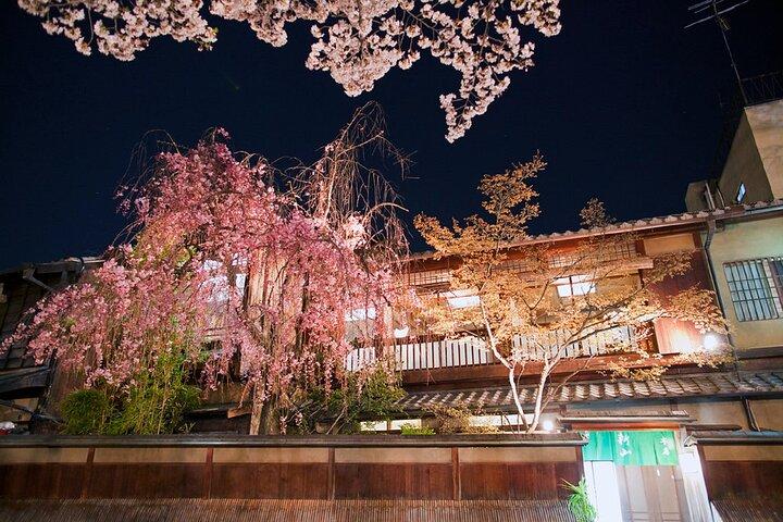 京都祇園ナイトウォーク＆芸者地区ガイドツアー