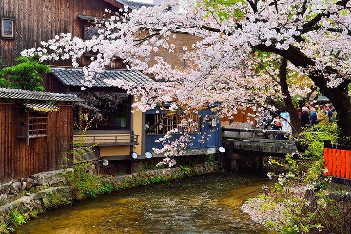 京都祇園ナイトウォーク＆芸者地区ガイドツアー
