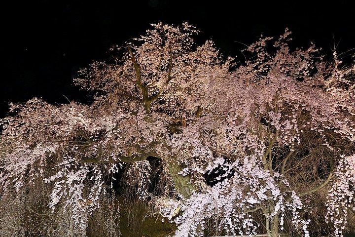 京都祇園ナイトウォーク＆芸者地区ガイドツアー