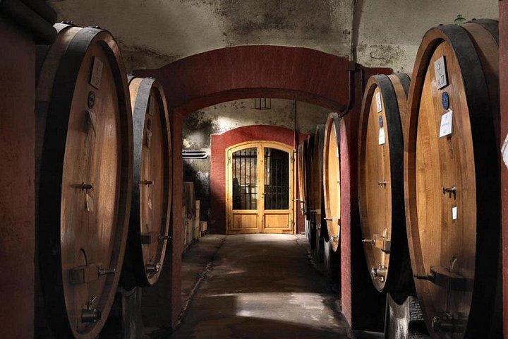 Privat Chianti vintur