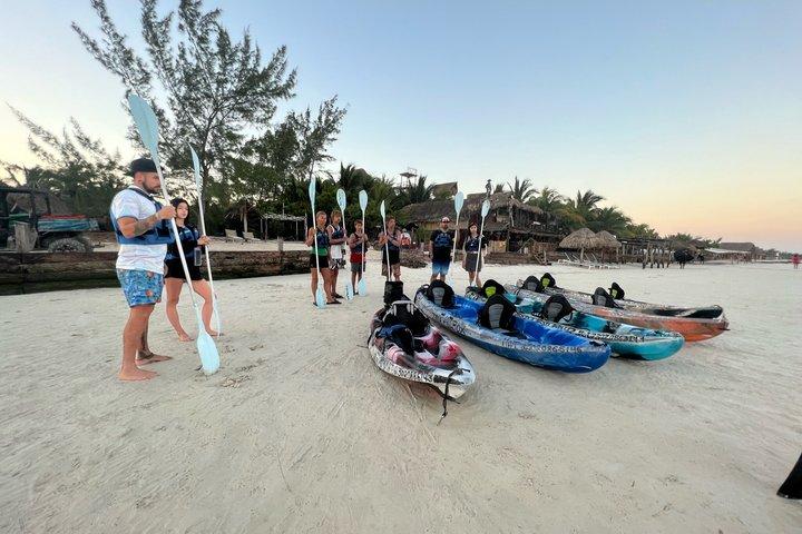 Kajaktur i Holbox mangroveskove