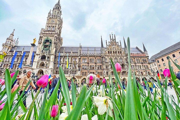 München Heldagstur med privat transfer