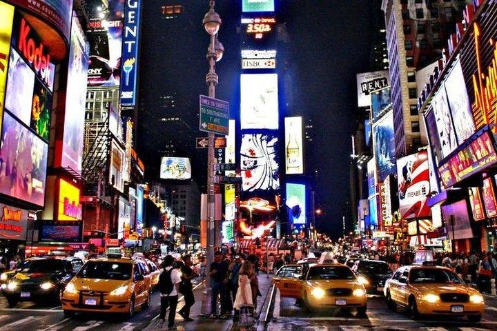 ニューヨーク市半日プライベート ツアー