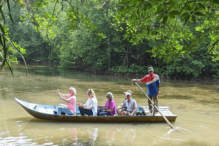 Explore Can Gio Mangrove Forest Eco Trekking And Nature Escape
