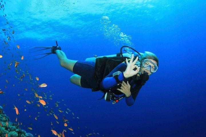 Plongée sous-marine Marmaris pour débutants et plongeurs Certifiés