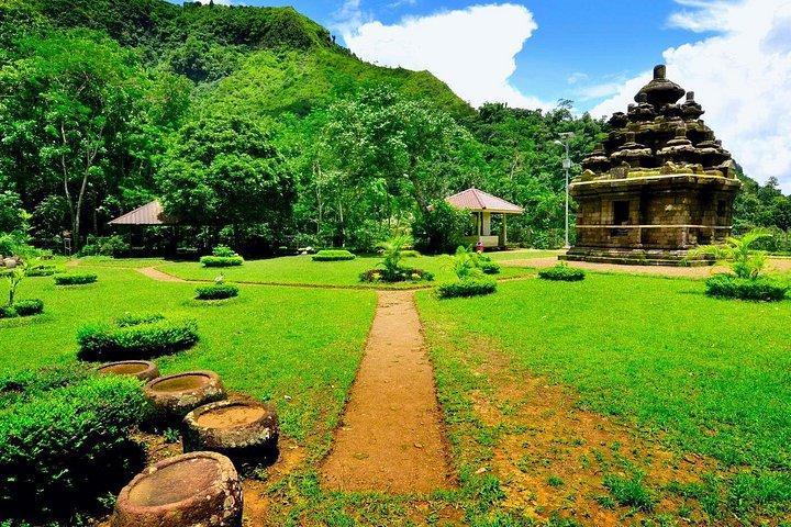 ボロブドゥール登山とセログリヨ寺院の棚田トレッキング