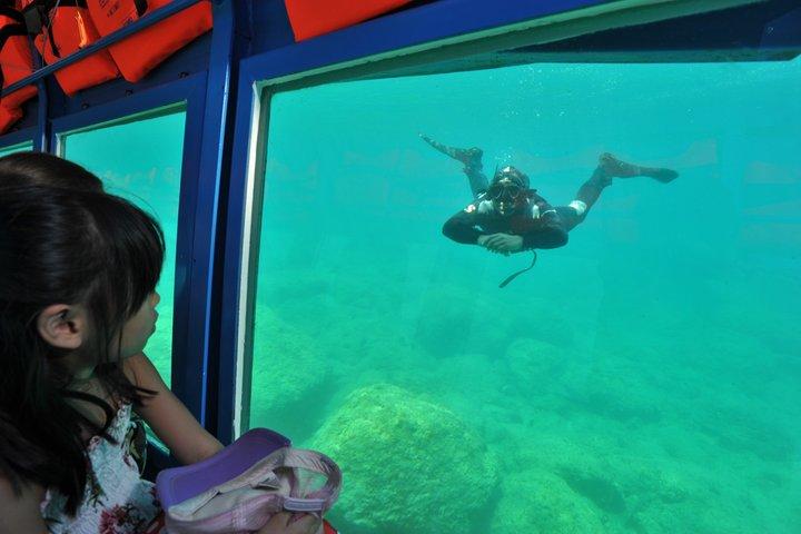 海中を眺めるイエローサブマリンクルーズ
