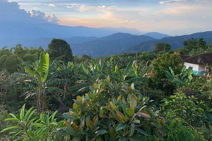 Privat Fredonia dagstur med motor i Medellin