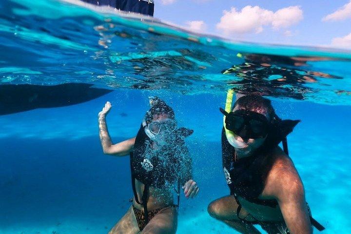カタマラン小旅行+オープンバー+エル・シエロでのシュノーケリング