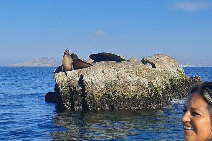 Private 3-hour Whale Watching Activity in Mazatlan