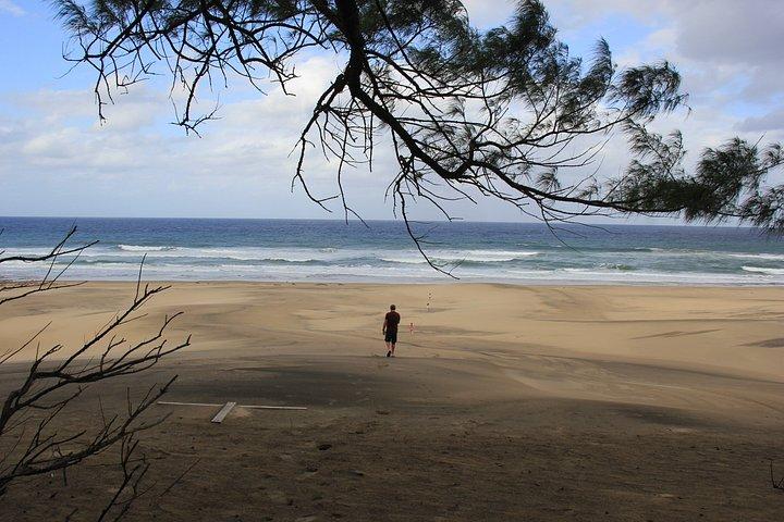 iSimangaliso 6-Hour Wildlife & Wetlands Private Group Safari