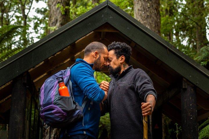 Pasos del bosque Whirinaki: Visita guiada maorí, picnic y traslado