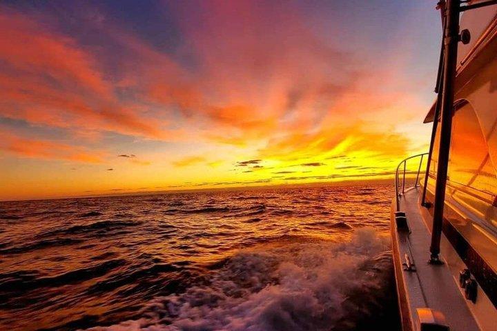 Tour dei delfini selvatici e crociere al tramonto a Outer Banks, Carolina del Nord