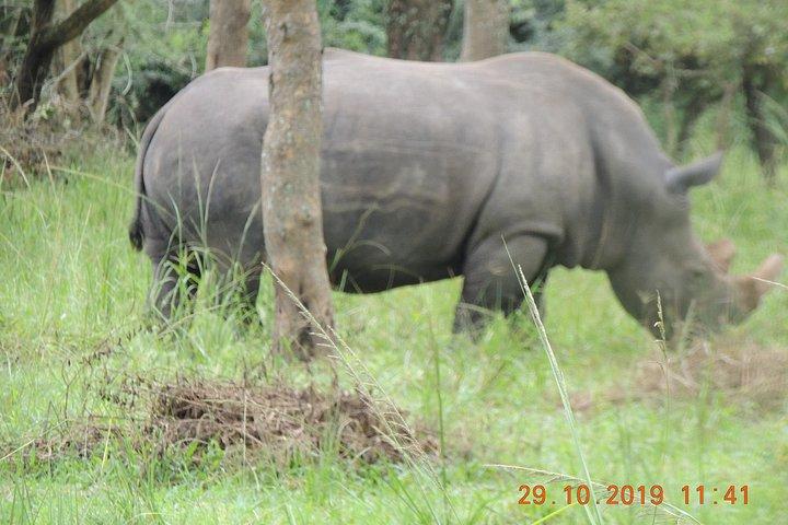7 Days Midrange Safari with Big 5 and Primates
