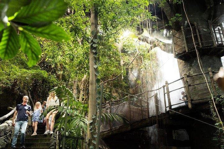 Billet til Göteborg Universeum - Akvarium, Videnskab, Wildlife, Zoo