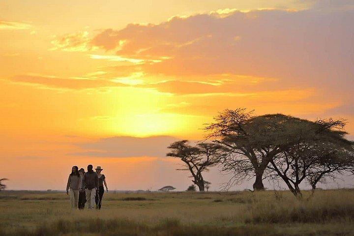Serengeti Great Migration 5 Days Mara River crossing