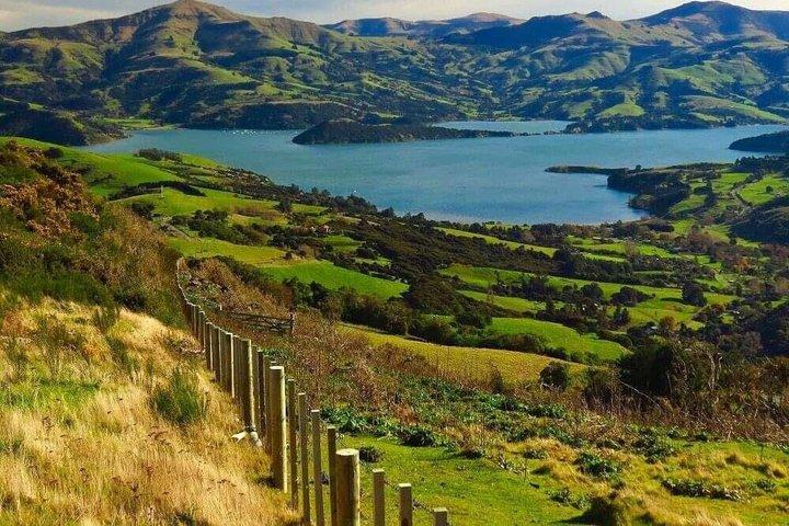 Akaroa Private Group Day Trip from Christchurch