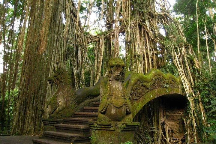 Ubud Tour: Foresta delle scimmie, terrazza di riso, tempio e cascata