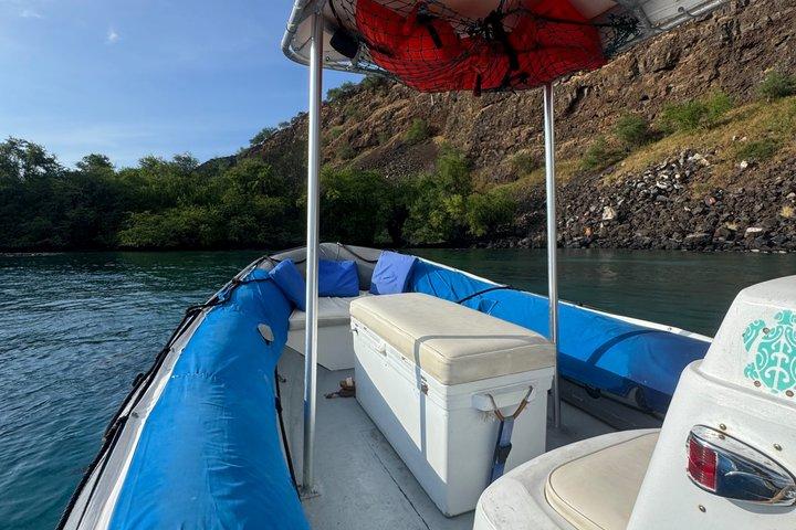 Charter privato personalizzato Kealakekua Bay Snorkeling