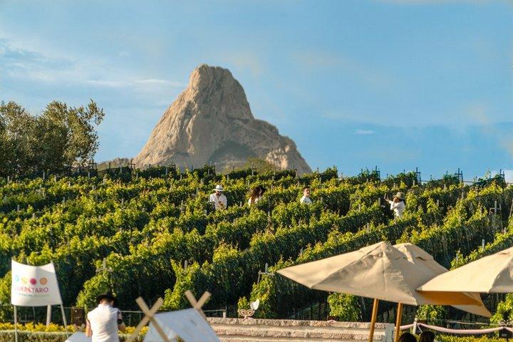 Wein- und Käsetour mit Peña de Bernal und Tequisquiapan