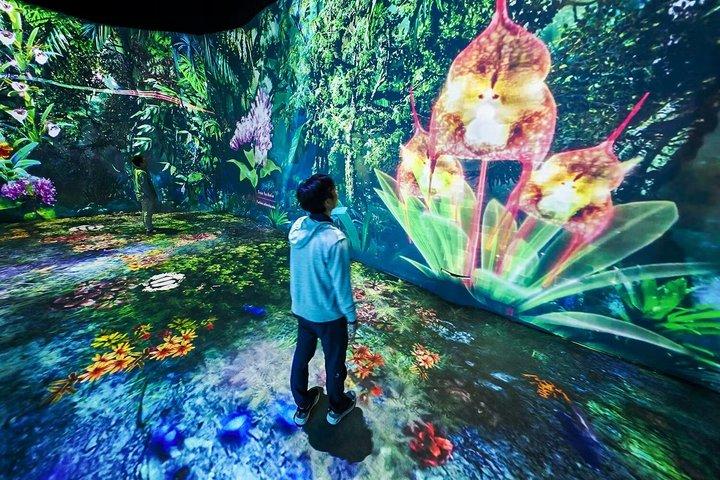 Gardens by the Bay + Billets de voltigeur Singapour