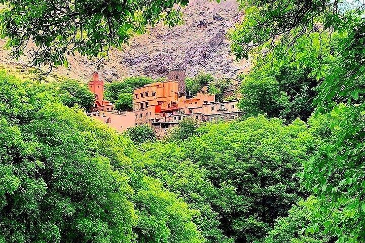 Excursion privée de Marrakech à la vallée de l'Ourika