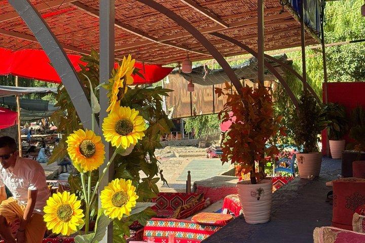 Atlas Mountains and Ourika Valley Day Trip from Marrakech