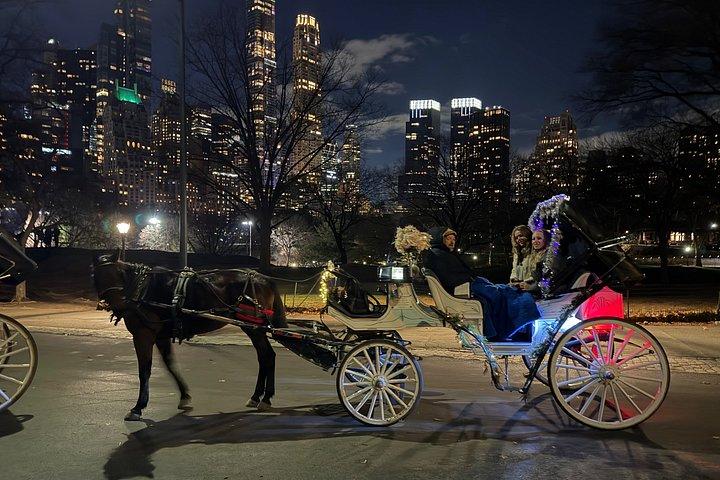 Offizielle private NYC CentralPark Pferdekutschenfahrt seit 1972