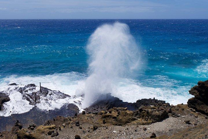 Private Tour Oahu - Customizable - 1 to 4 Guest