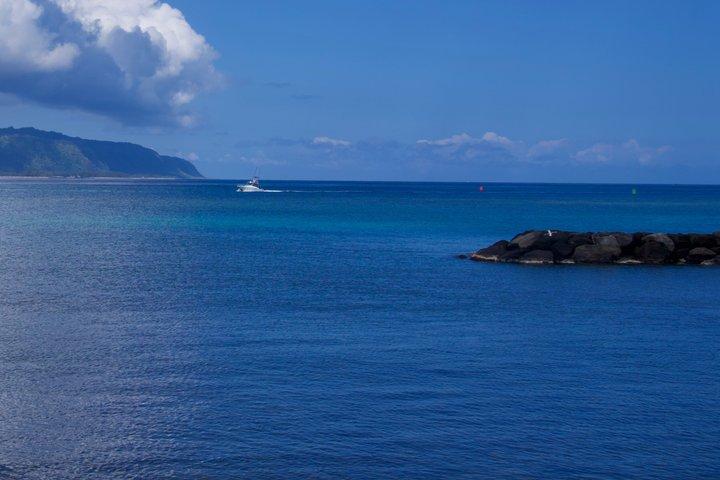 Private Tour Oahu - Customizable - 1 to 4 Guest