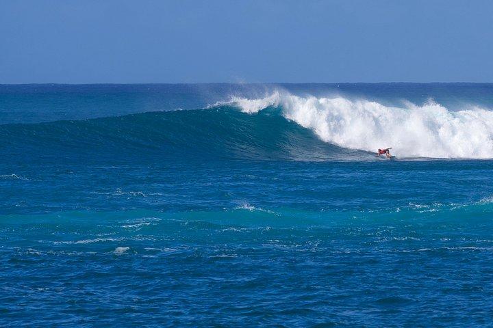 Private Tour Oahu - Customizable - 1 to 4 Guest