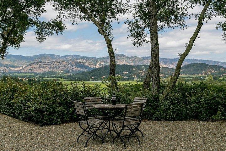Tour de lujo en sedán y SUV en Napa y Sonoma Valley