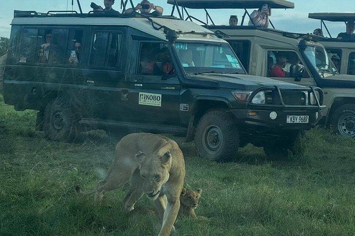 3 Days Maasai Mara Shared Tour with Private Accommodation
