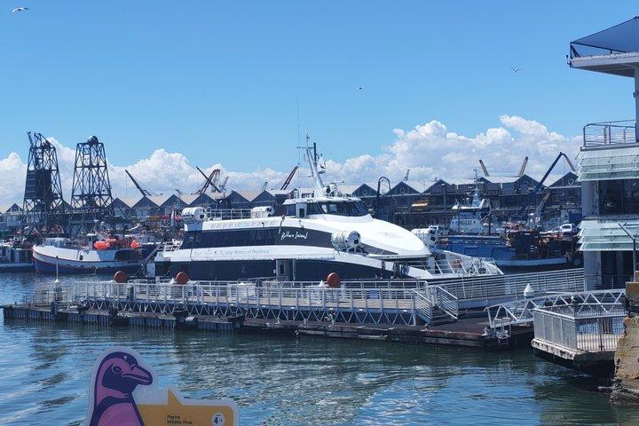 ガイド付きロベン島歴史刑務所ツアー（送迎付き）