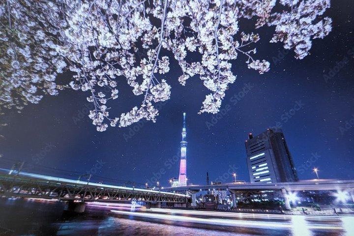 夜の街と桜ライトアップツアーとモダンサムライショー