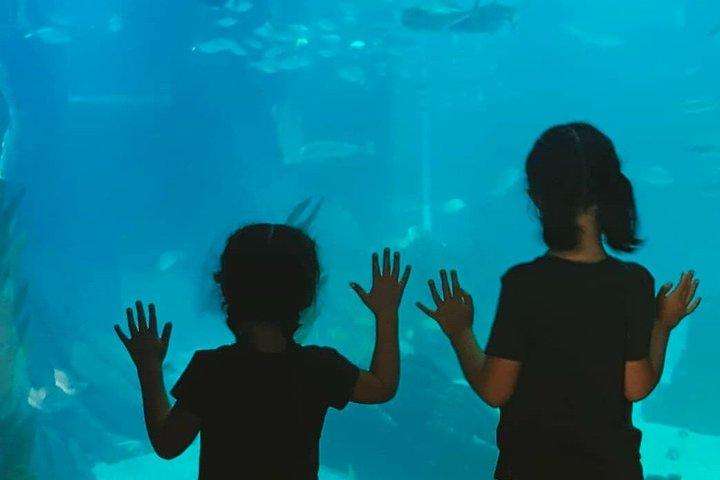 海、科学、そして景色：家族のような現代のリスボン