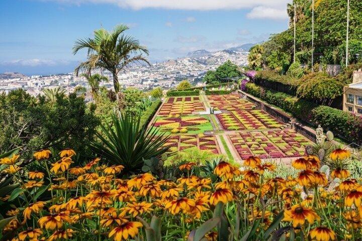フンシャル植物園と旧市街トゥクトゥク体験