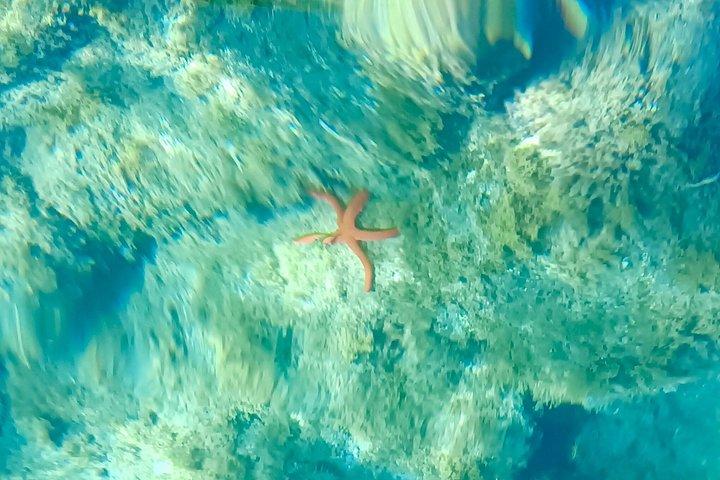 Fuerteventura Transparent Electric Kayaks with Guide