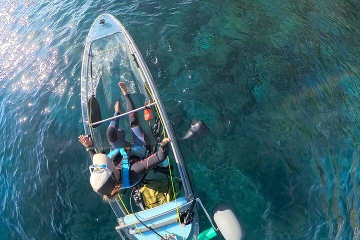 Fuerteventura Transparent Electric Kayaks with Guide
