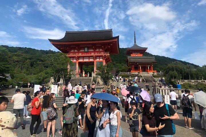Tour cultural e histórico privado em Kyoto em Espanhol