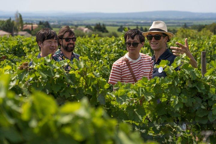 Tour matutino del vino a Chateauneuf du Pape desde Aviñón