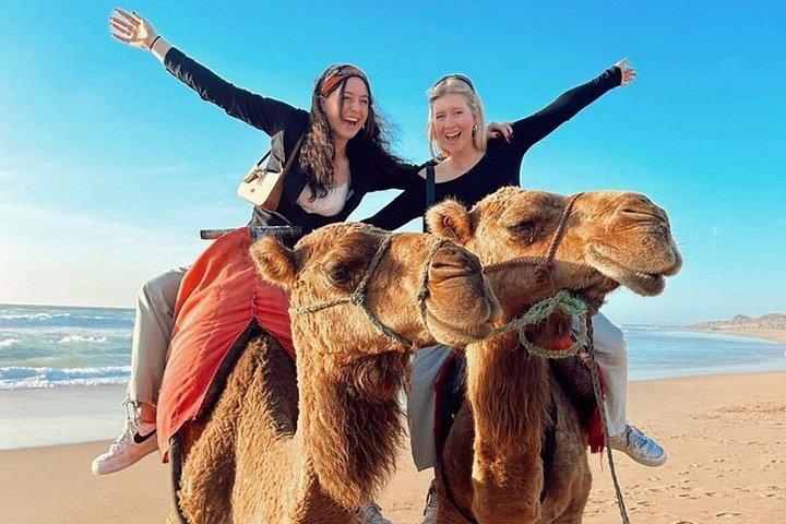 Luxury All-Inclusive Private Day Trip from Malaga to Tangier