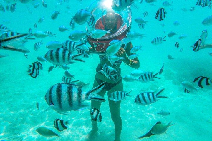 アドベンチャー海底ウォークパラセーリング＆チューブライド（送迎付き）